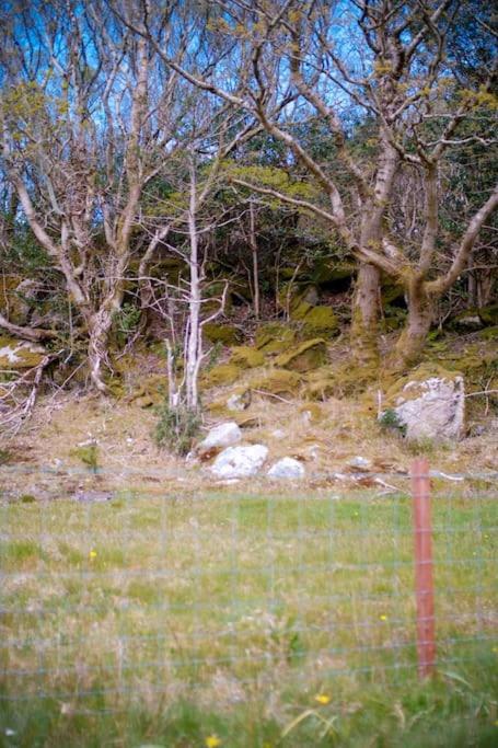 Mary Jane'S Cottage, Lettermacaward Doochary Eksteriør bilde